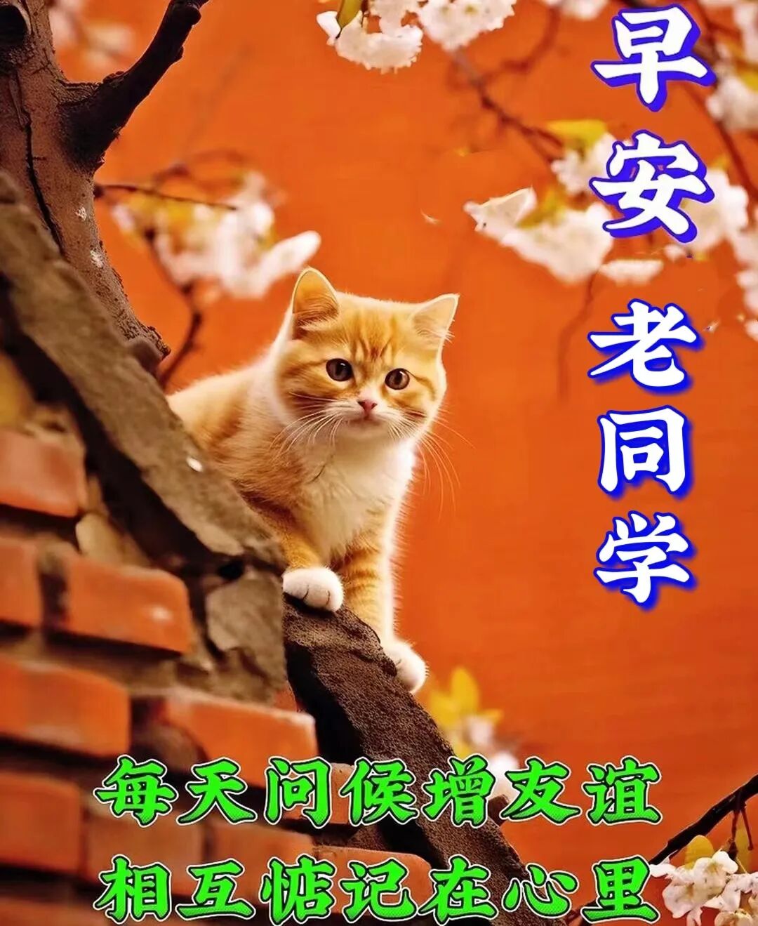 今日最新早安早上好精选图片，吉祥如意，健康快乐！