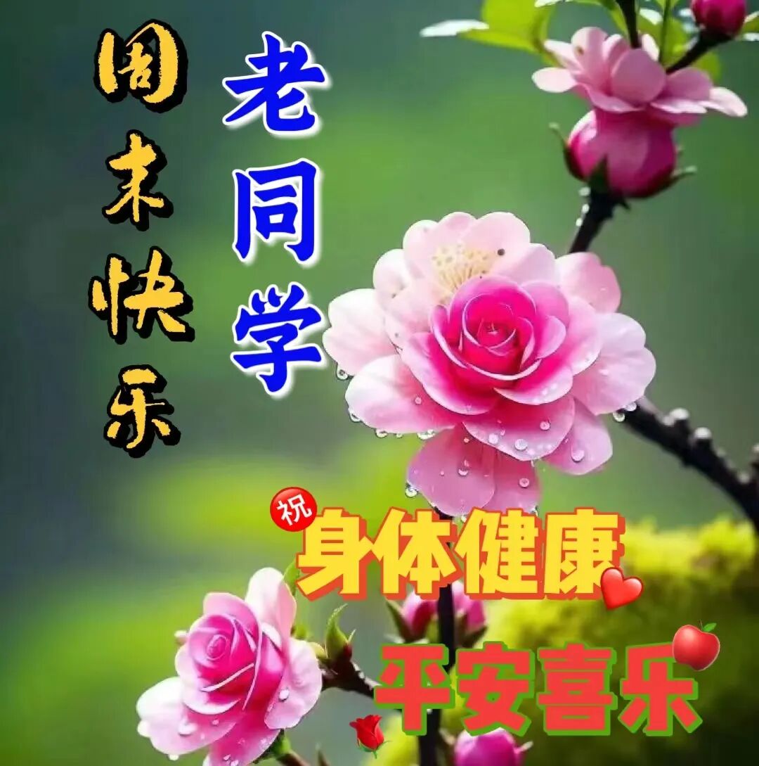 今日最新早安早上好精选图片，吉祥如意，健康快乐！