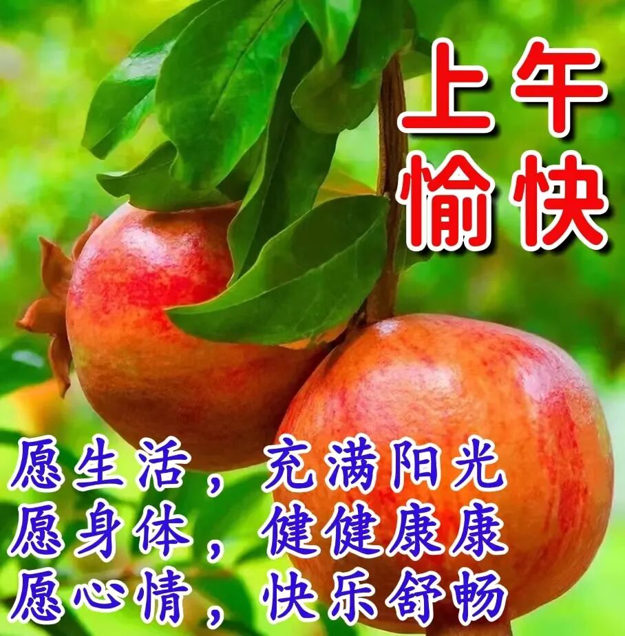 今日最新早安早上好精选图片，吉祥如意，健康快乐！