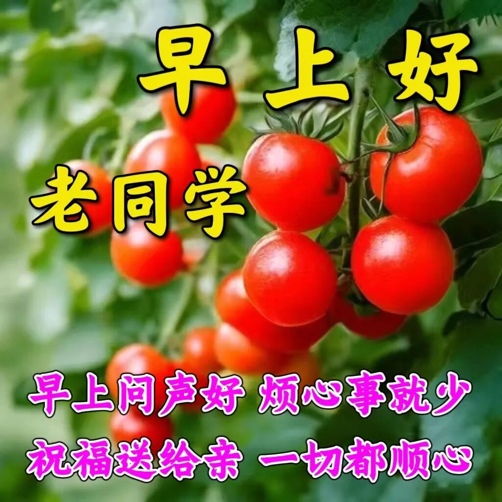 今日最新早安早上好精选图片，吉祥如意，健康快乐！