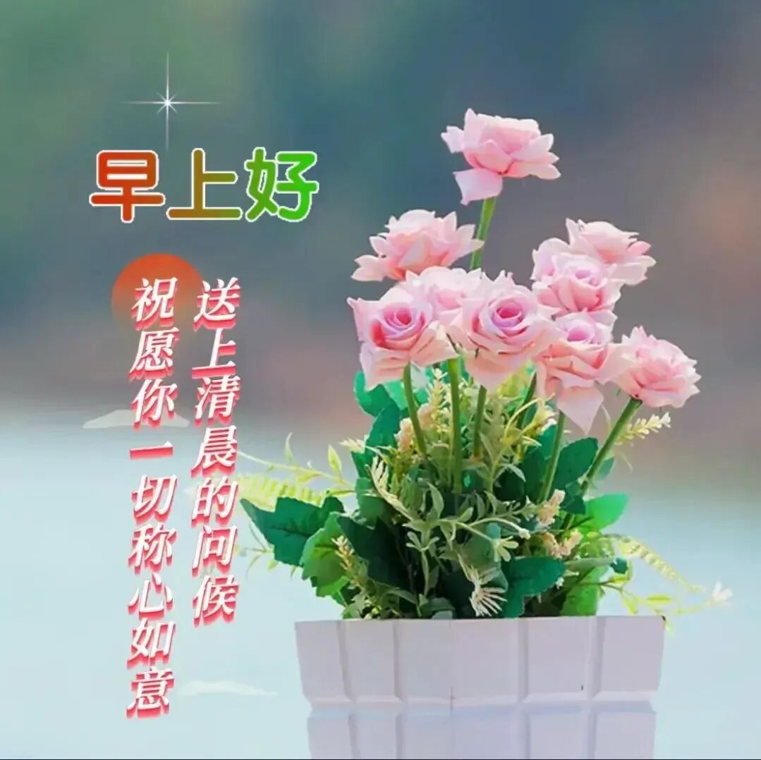 16张早安图片表情包！早上好祝福问候图片！早安吉祥愉快！