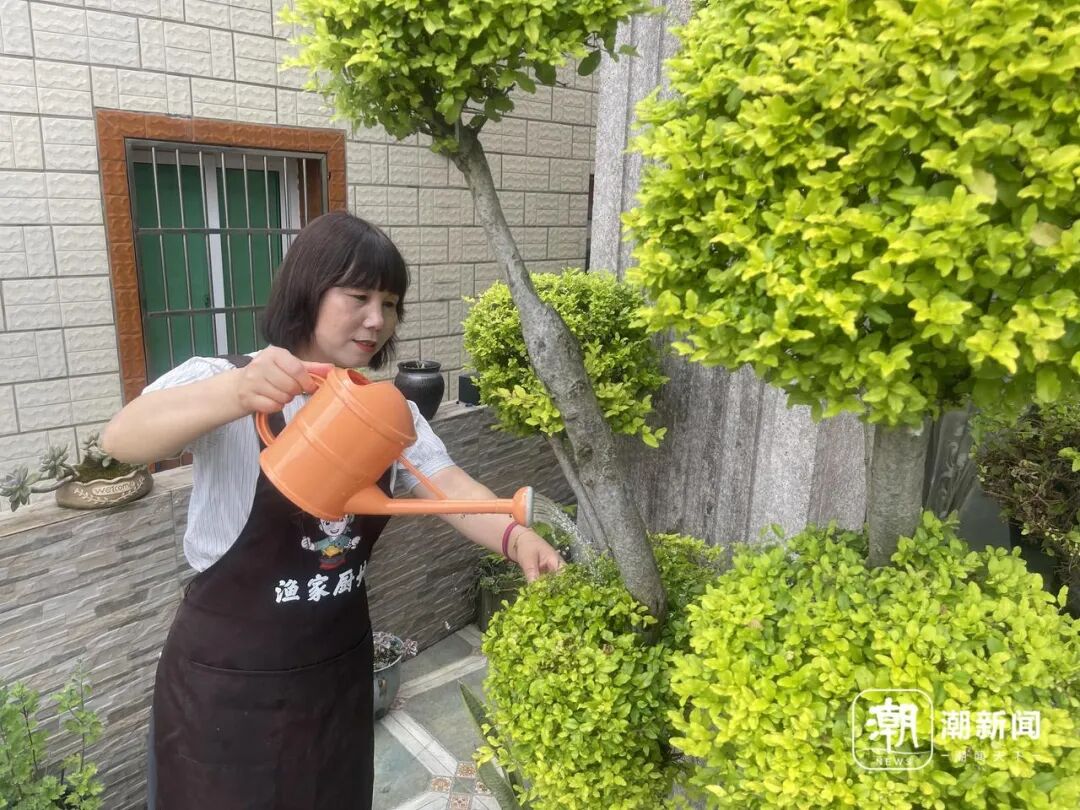 洞头90％民宿都是女老板，女性创业者占比为何如此之高