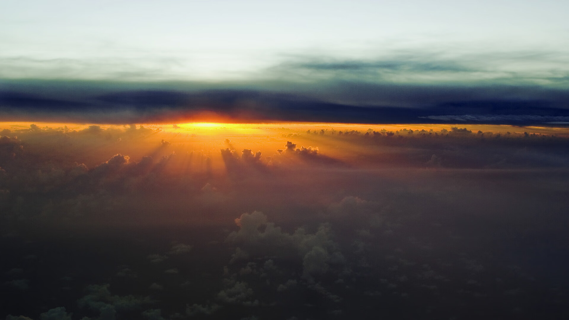 panel是什么意思中文