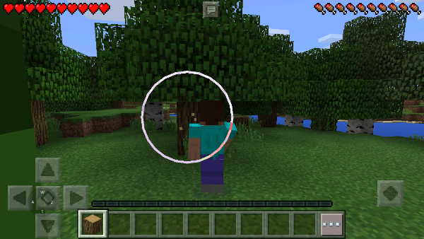 我的世界基岩版