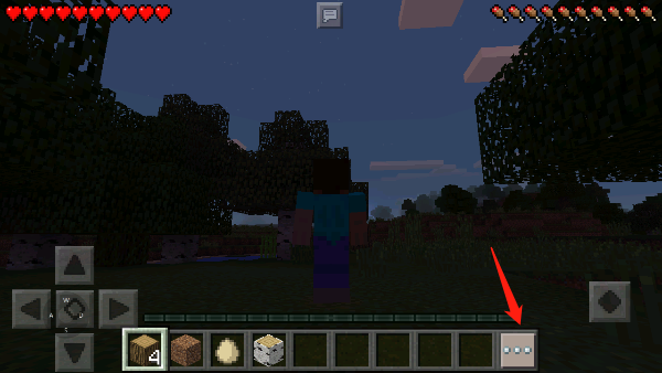 我的世界基岩版