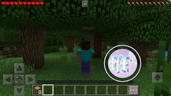 我的世界基岩版