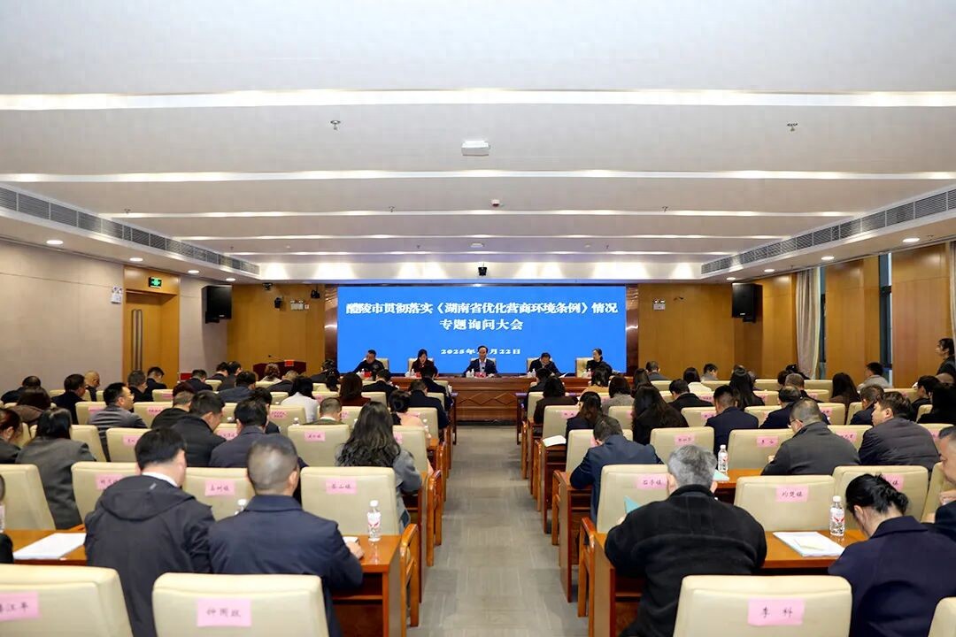 醴陵市：专题询问“五查五问五看”，推动营商环境持续优化