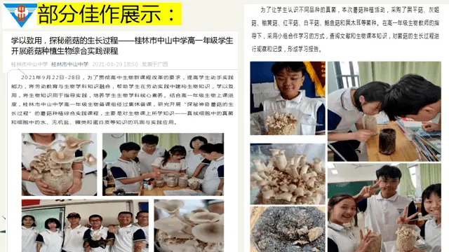 发挥宣传导向作用，营造良好舆论环境——桂林市中山中学开展教师新闻稿写作培训活动