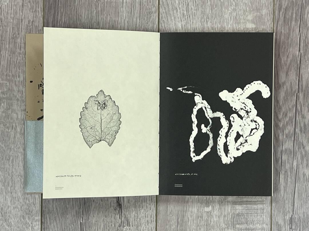 书籍居然能这样设计？金华这位大学老师带你开眼界