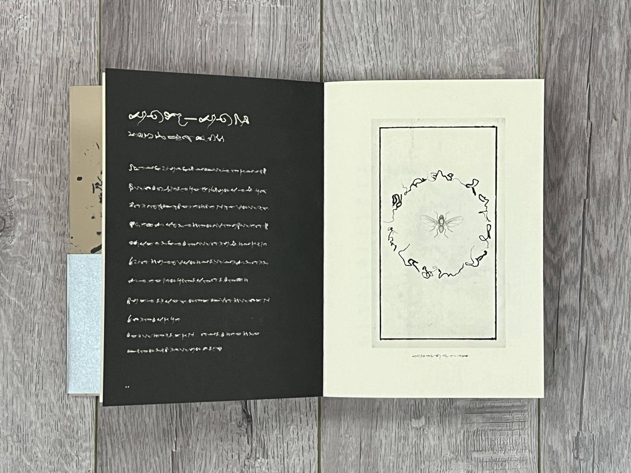 书籍居然能这样设计？金华这位大学老师带你开眼界