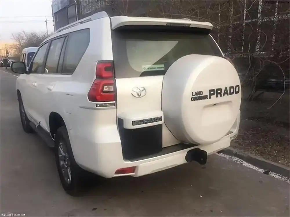 12年湖南黑老大王芝虎，宣判后直接押刑场，9分钟结束其罪恶一生