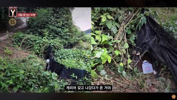 25岁美女主播确认遇害！韩警方公布详情！类似事件国内频发热议↗