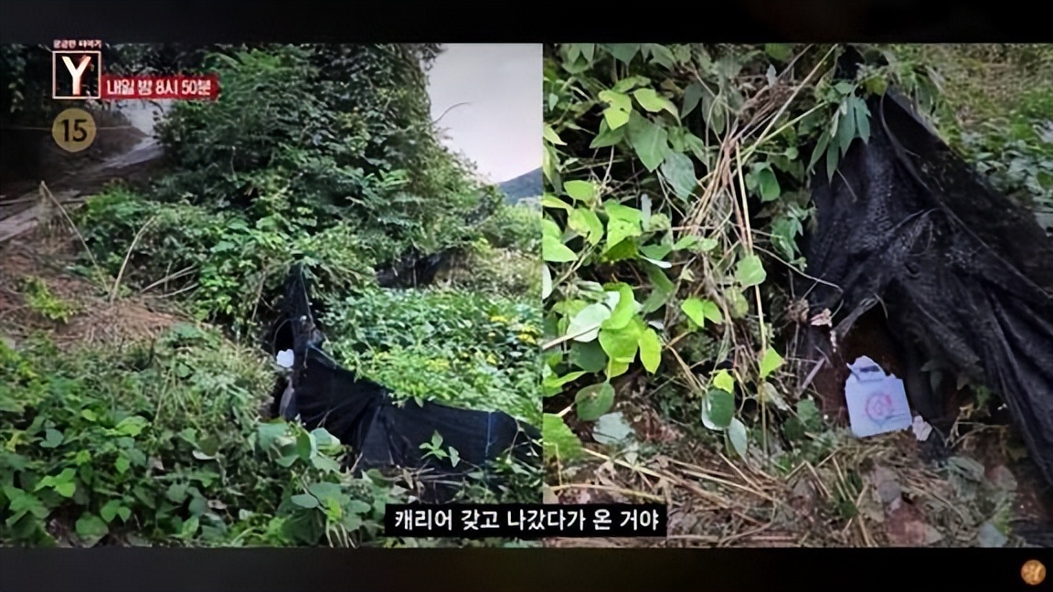 25岁美女主播确认遇害！韩警方公布详情！类似事件国内频发热议↗