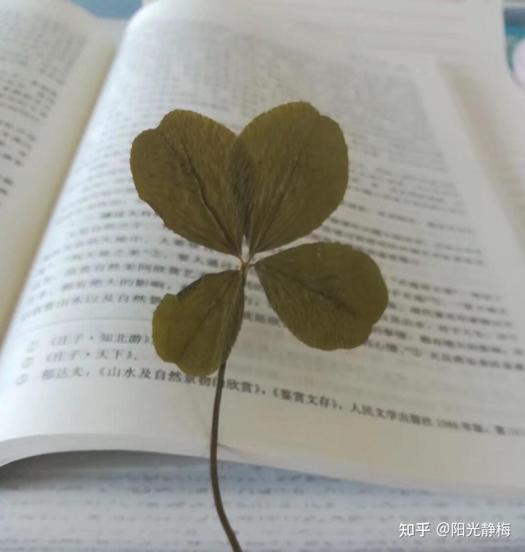 准备2025考研教育专硕,请问333教育综合统考科目应该怎么准备?