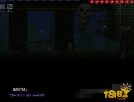 泰拉瑞亚地牢守卫者怎么打 地牢BOSS打法心得分享