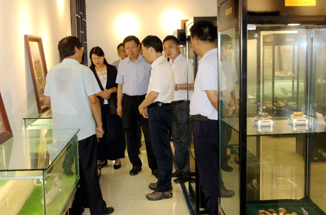 河南省农业农村厅副厅长刘保仓调研指导