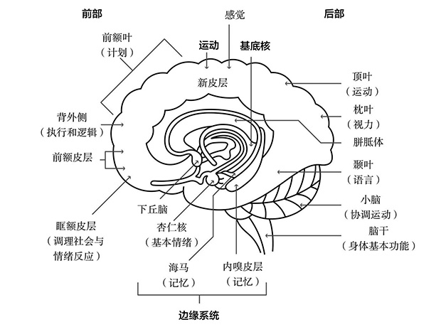 《海蒂与爷爷》:总害怕坏事会发生？“双轨道思维”助你打破怪圈