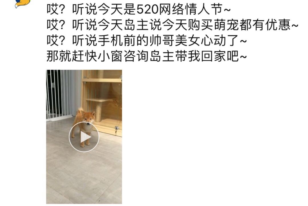 男友昨天没给我发520块的红包，我想分手了