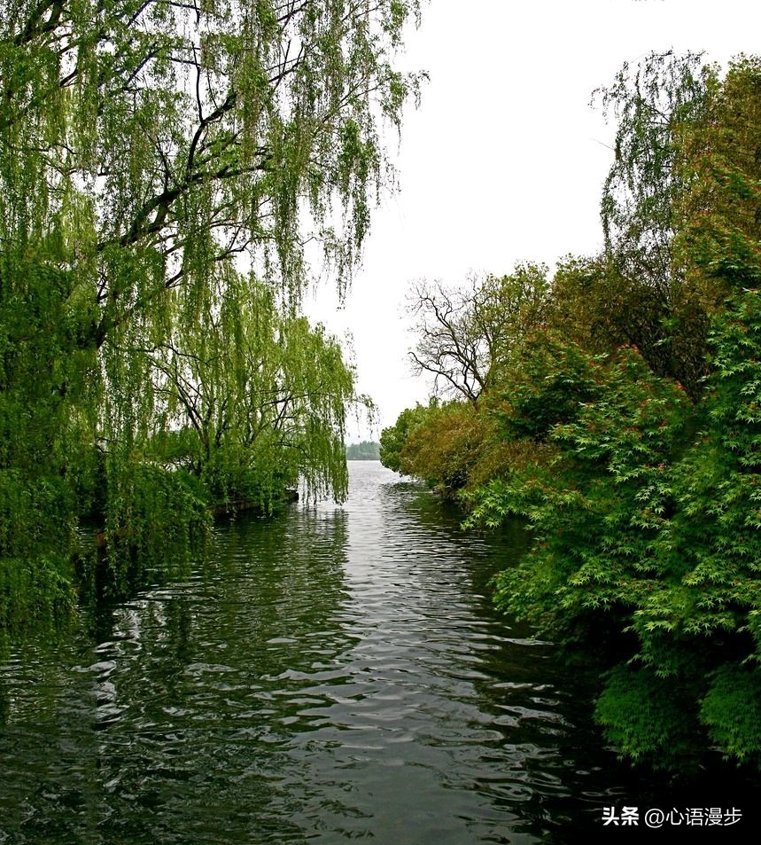 2026年，你家孩子将会遇到大机遇，前途无量，贵人不断