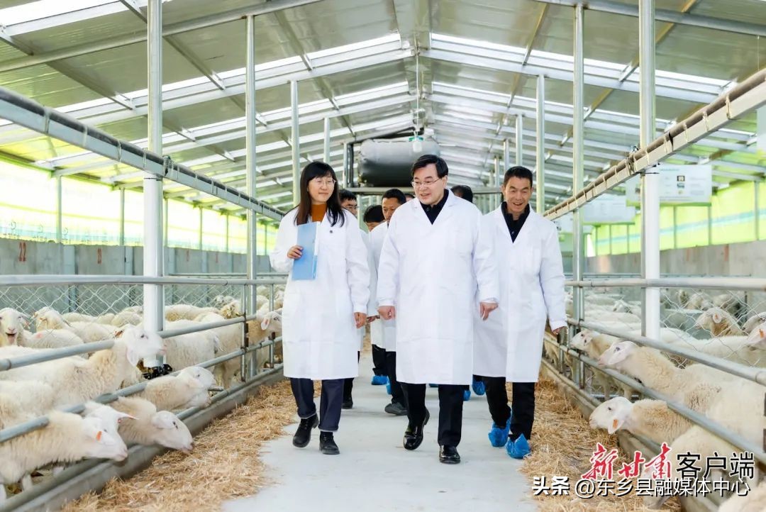 东乡一周要闻（11月25日—12月1日）