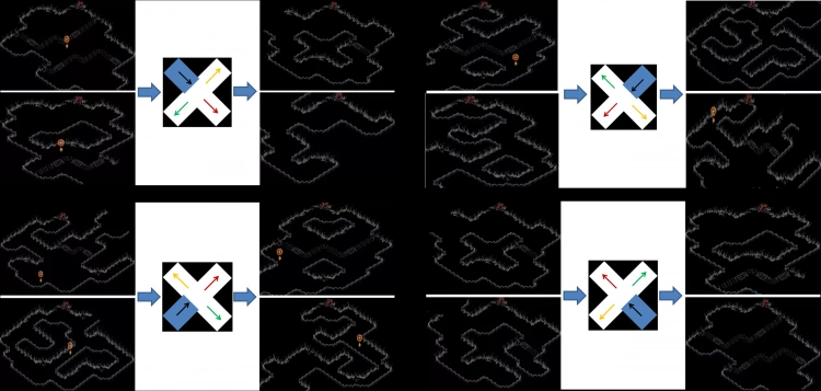 暗黑2地图攻略第一章ACT1