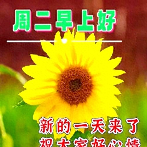 今天最新精美早安图片，非常暖心的早上好问候语，愿你快乐每一天