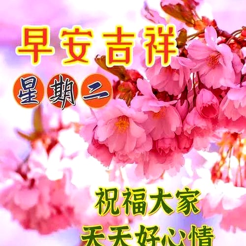 今天最新精美早安图片，非常暖心的早上好问候语，愿你快乐每一天