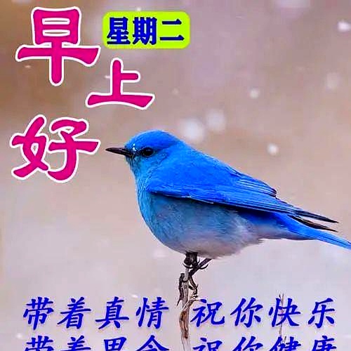 今天最新精美早安图片，非常暖心的早上好问候语，愿你快乐每一天