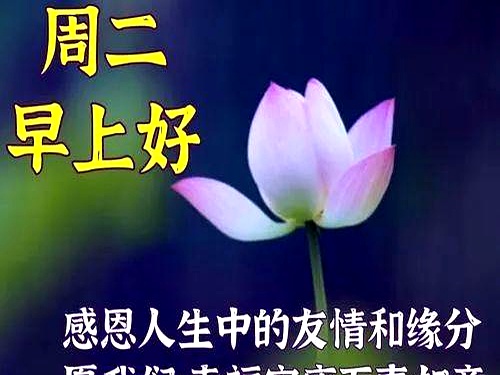 今天最新精美早安图片，非常暖心的早上好问候语，愿你快乐每一天