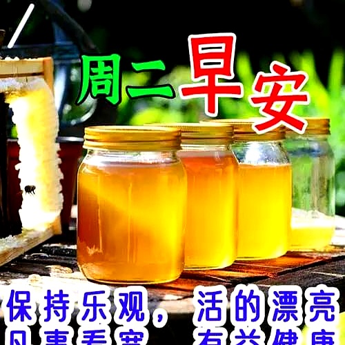 今天最新精美早安图片，非常暖心的早上好问候语，愿你快乐每一天