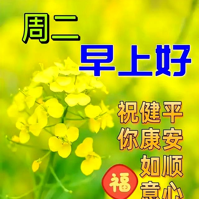 今天最新精美早安图片，非常暖心的早上好问候语，愿你快乐每一天