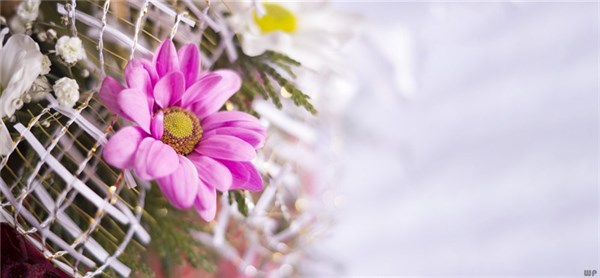 早上好阳光暖心的祝福句子，特漂亮早上好动态祝福图片