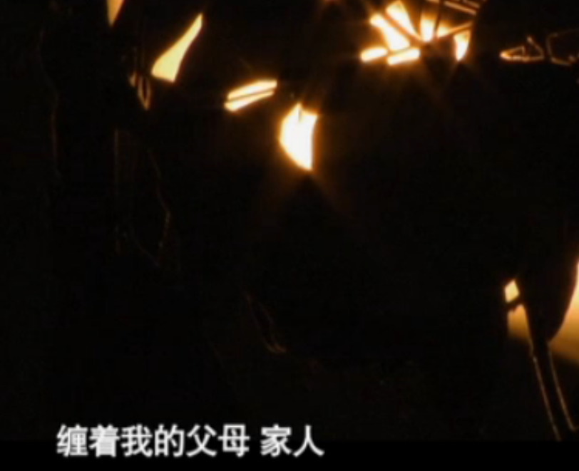 回顾怯懦少年药家鑫的“毁灭史”，经历的家庭教育，比你想得更糟糕