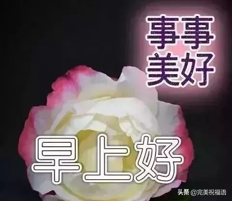 最美清晨祝福暖心语录图片微信带字，早上好漂亮表情问候语祝福