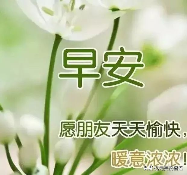 最美清晨祝福暖心语录图片微信带字，早上好漂亮表情问候语祝福