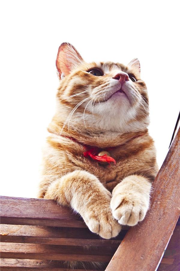 天气降温天冷关心人的早上好图片 暖心的早安温馨祝福短信