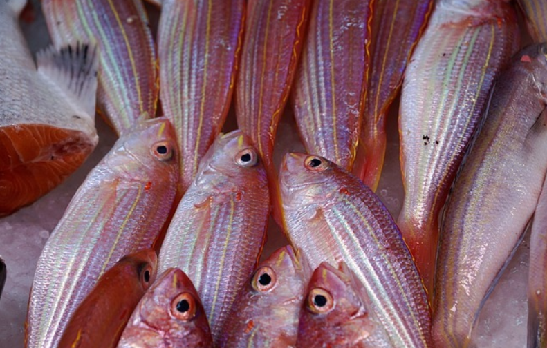 外媒称美国、日本和台湾地区将共享侦察无人机数据，外交部回应「看世界·新闻早知道」