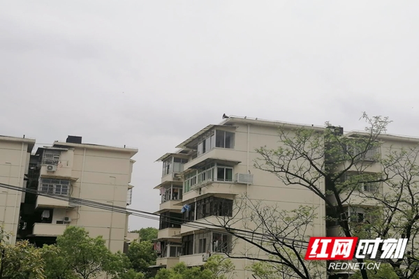 社区宣传用上“5G武器”云喇叭楼顶开播