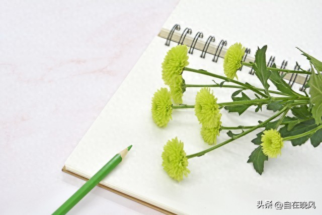 作文升格技巧：给文章安个“吸睛又走心”的标题