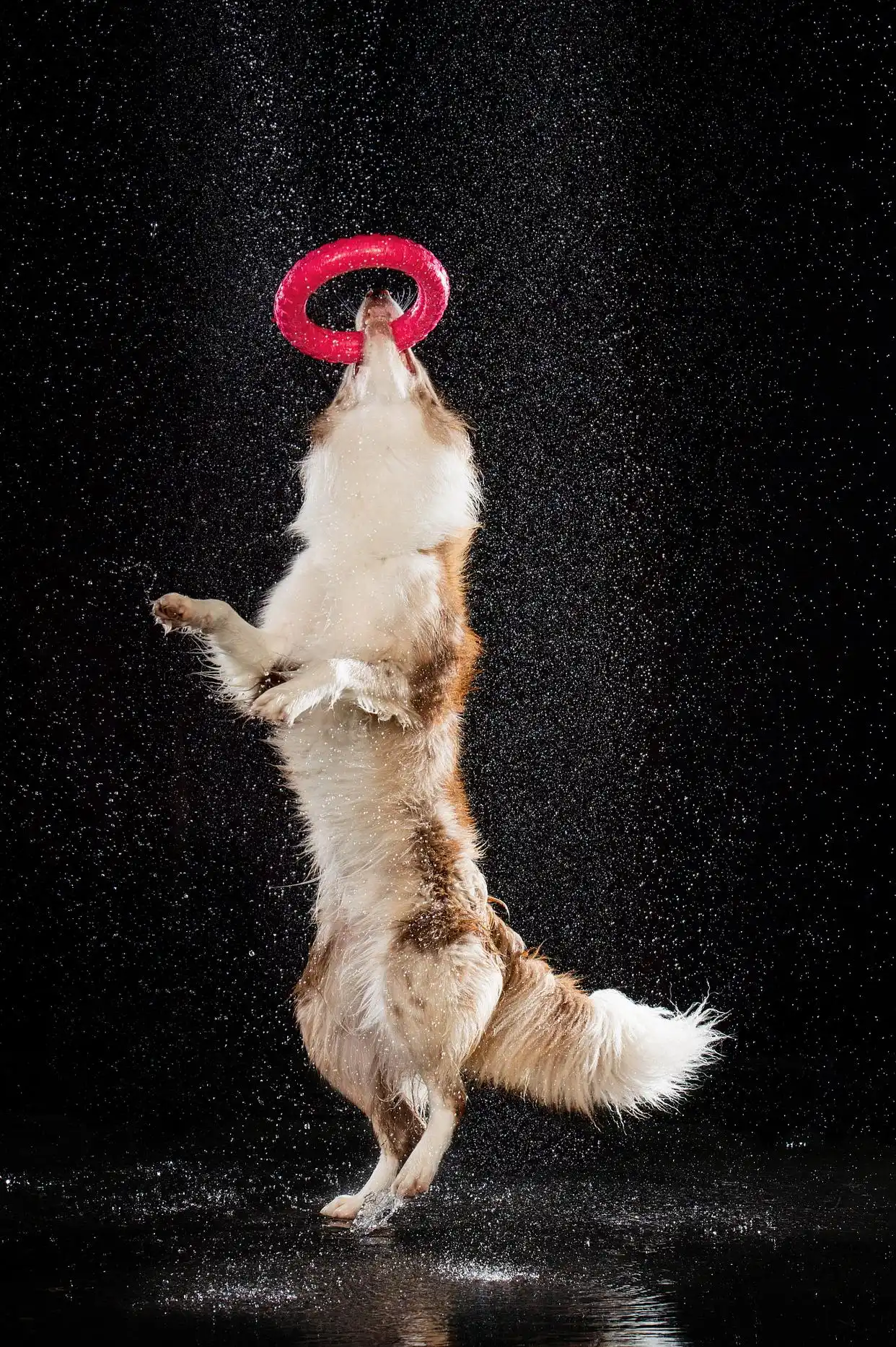 收不到短信验证码？这些人为疏忽你可能每天都在犯！