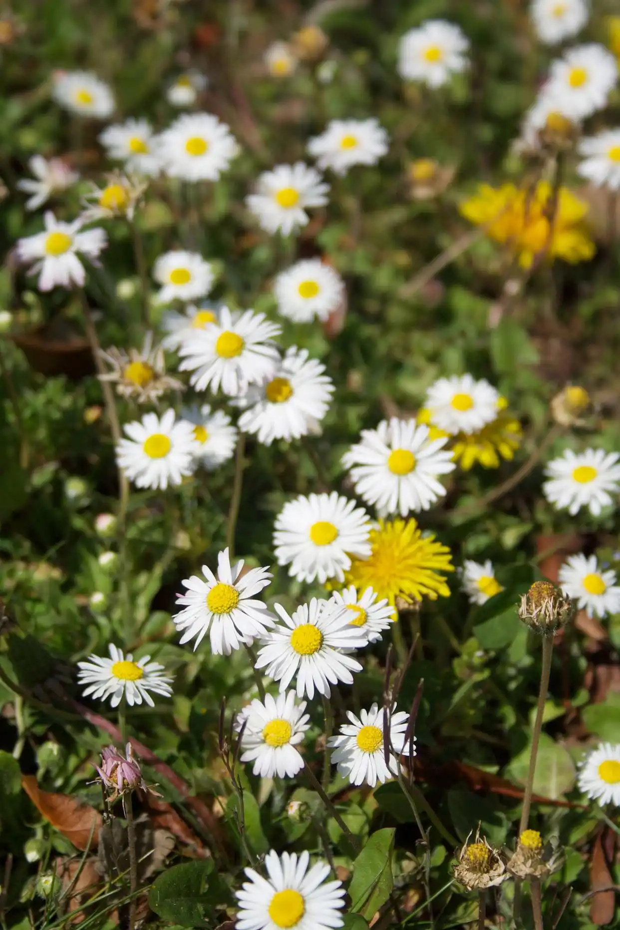 收不到短信验证码？这些人为疏忽你可能每天都在犯！