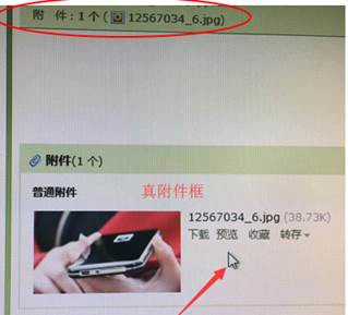 恶意邮件不完全分类及防范指南