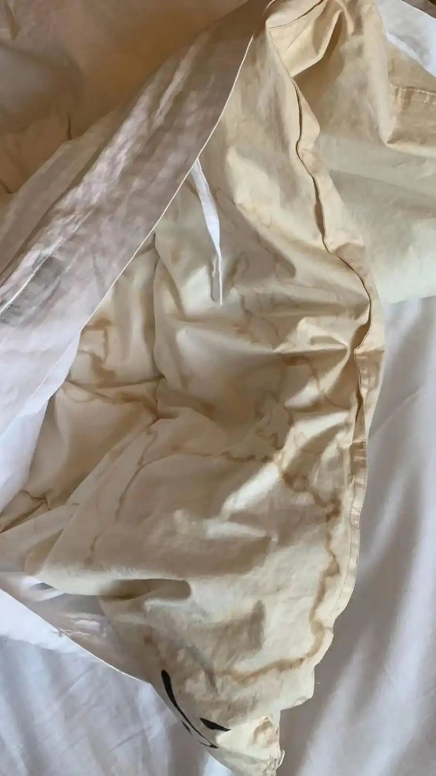 同是到上海迪士尼游玩，为什么隔离要求差距这么大