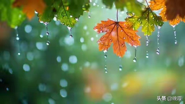 难怪手机总卡顿，问题在这！