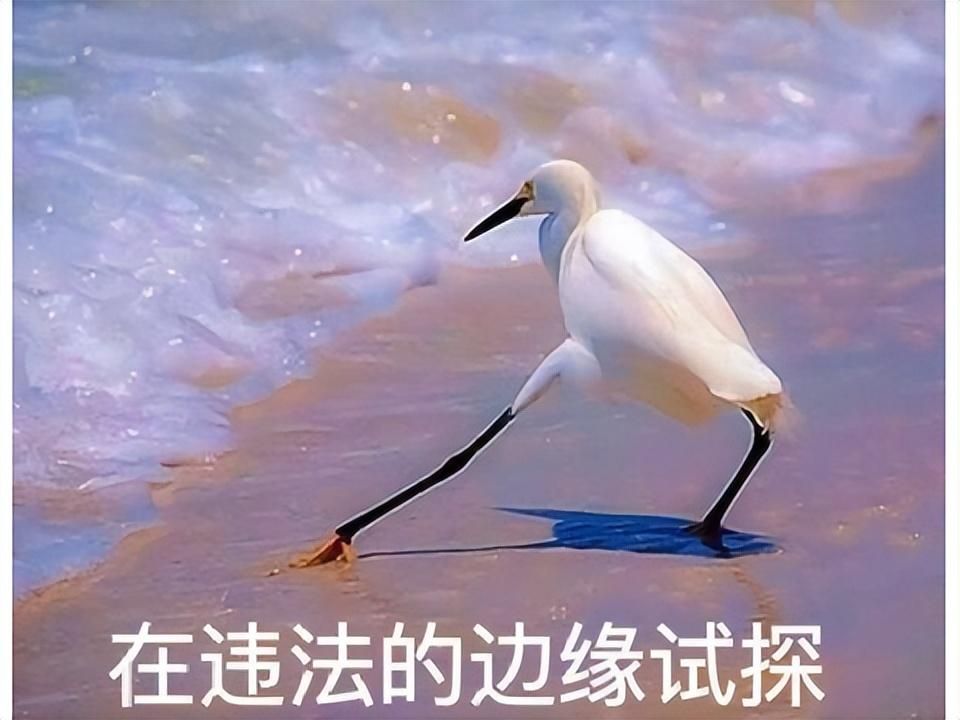 暴雪国服停运,魔兽私服路子却野起来了?不知火舞大战兽人士兵!