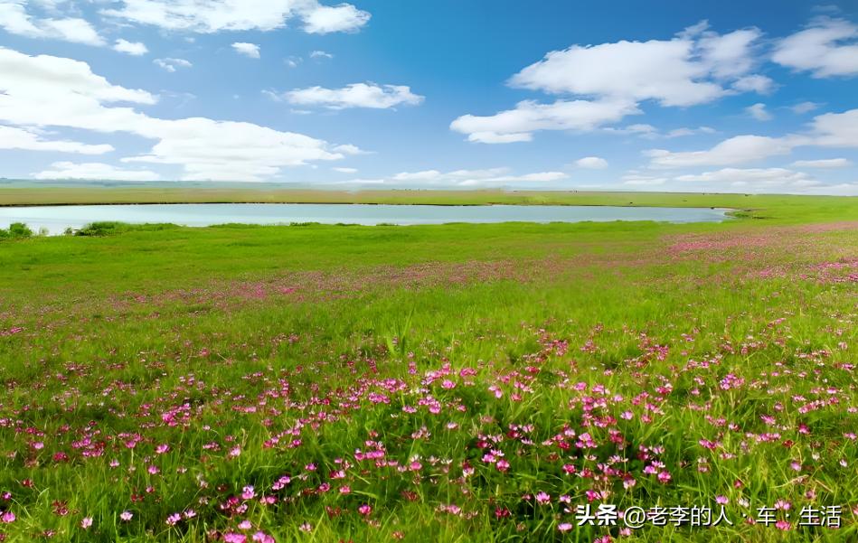 认识中国每一个县——第166站：湖北·荆州·监利市（县级市）