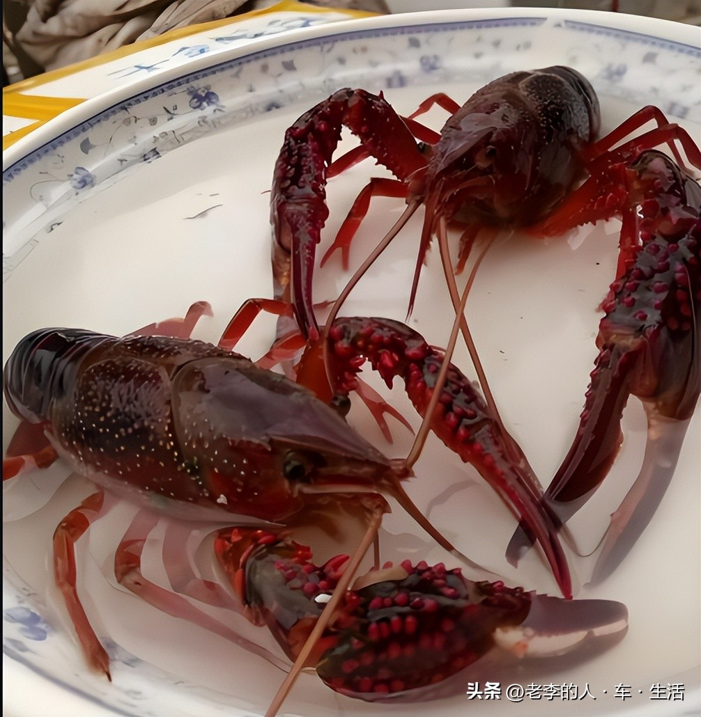 认识中国每一个县——第166站：湖北·荆州·监利市（县级市）