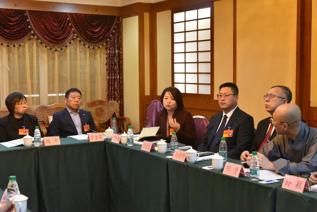 【要闻】政协委员分组讨论政府工作报告