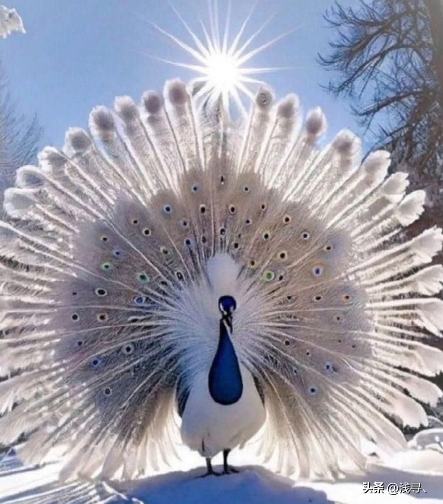 罕见老照片：被迫脱光衣服的女人站在男人堆里，女子门口笑脸迎客