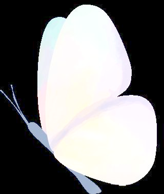 探索新闻评论标题的多种类型与技巧